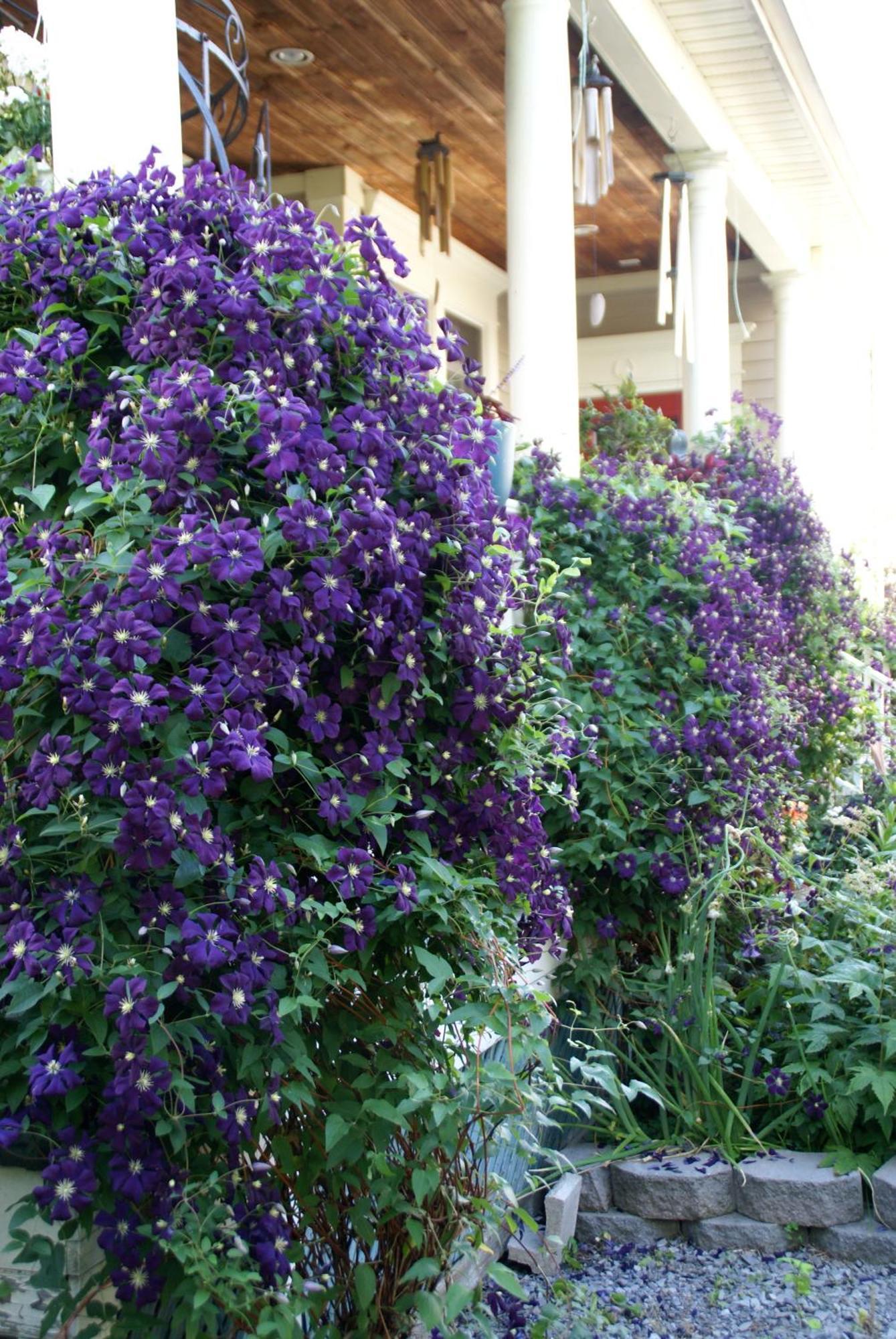 Globetrotters B&B Niagara-on-the-Lake Bagian luar foto
